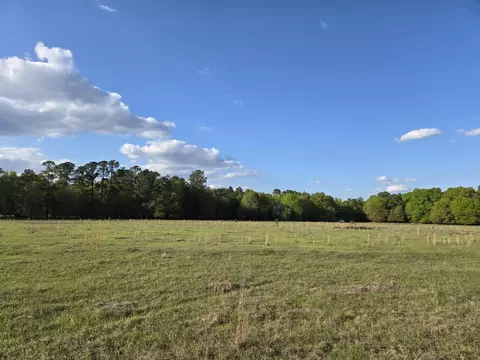 tbd E 10 Hwy 39 Rd, Williston, SC 29853 photo 5