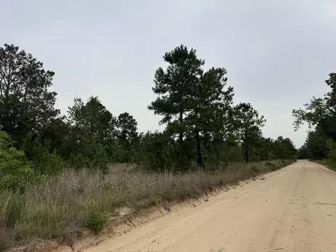 0 Baughmanville Road Rd, Wagener, SC 29164