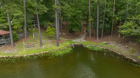 View/Area - 1239 Shull Island Rd, Gilbert, SC 29054 photo 6 of 8