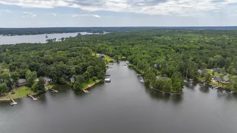 View/Area - 1239 Shull Island Rd, Gilbert, SC 29054 photo 5 of 8