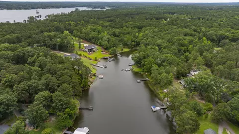 View/Area - 1239 Shull Island Rd, Gilbert, SC 29054 photo 4 of 8