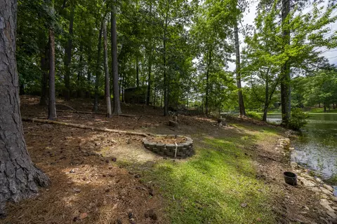 Exterior - 1239 Shull Island Rd, Gilbert, SC 29054 photo 8 of 16