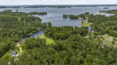 View/Area - 1239 Shull Island Rd, Gilbert, SC 29054 photo 2 of 8