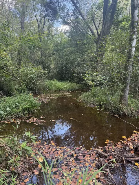 tbd Bradley Mill Rd, Aiken, SC 29805