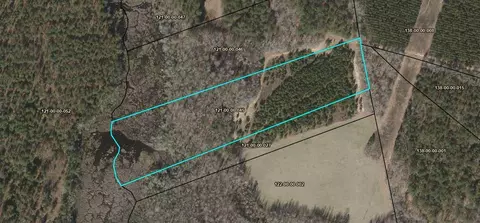 L7 Tb Sunshine Road, Blackville, SC 29817