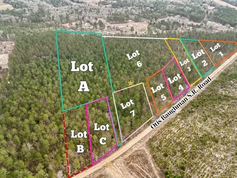 02 Otis Baughman Sr Rd #2, Wagener, SC 29164