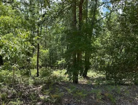 tbd Watermelon Ln, Barnwell, SC 29812