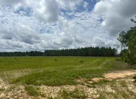 00 Tbd Snipes Pond Rd, Aiken, SC 29805