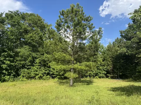 169 Pats Vw, Johnston, SC 29832 photo 7