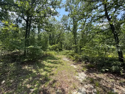 17 Acres Hard Luck Ln, Windsor, SC 29856