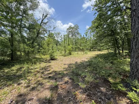 174 Hard Luck Ln, Windsor, SC 29856 photo 22