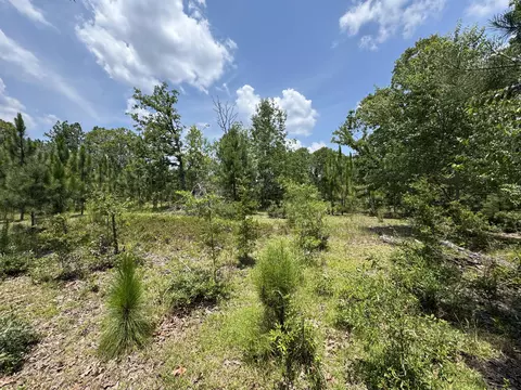 174 Hard Luck Ln, Windsor, SC 29856 photo 7