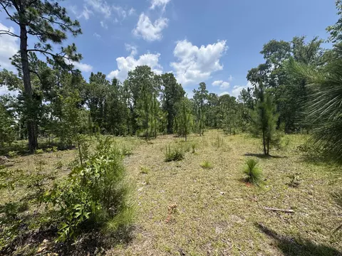 174 Hard Luck Ln, Windsor, SC 29856 photo 20