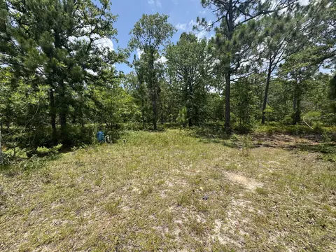 174 Hard Luck Ln, Windsor, SC 29856 photo 27