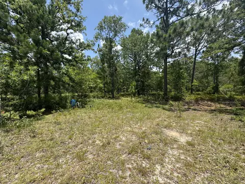 174 Hard Luck Ln, Windsor, SC 29856 photo 26