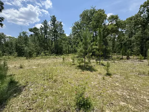 174 Hard Luck Ln, Windsor, SC 29856 photo 11