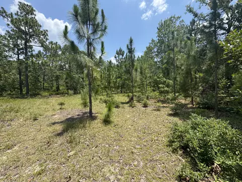 174 Hard Luck Ln, Windsor, SC 29856 photo 16