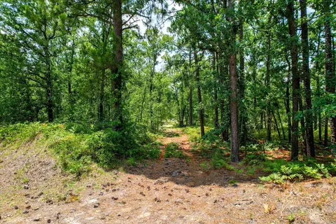 174 Hard Luck Ln, Windsor, SC 29856 photo 2