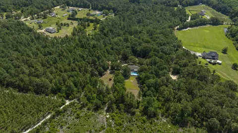 View/Area - 580 Nathan Miller Rd, Gilbert, SC 29054 photo 7 of 7