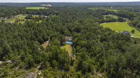 View/Area - 580 Nathan Miller Rd, Gilbert, SC 29054 photo 6 of 7