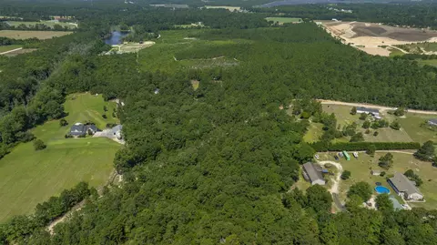 View/Area - 580 Nathan Miller Rd, Gilbert, SC 29054 photo 4 of 7