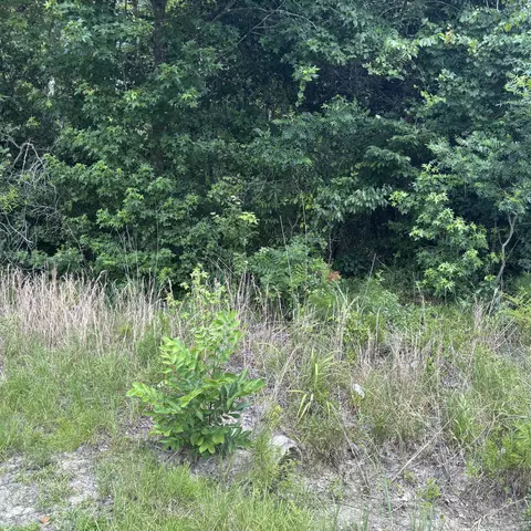 0 Carters Ford Rd, Lodge, SC 29082 photo 3