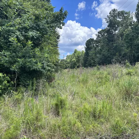 0 Carters Ford Rd, Lodge, SC 29082 photo 2