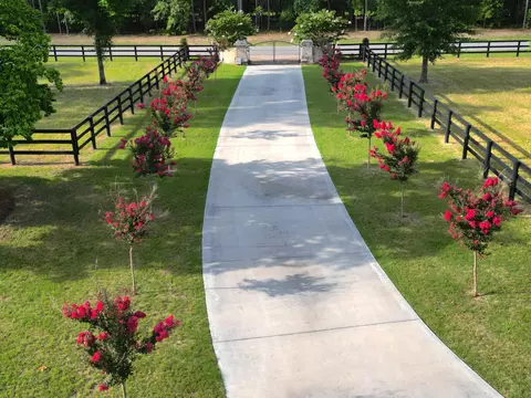 673 Marsh Tacky, Aiken, SC 29803 photo 4
