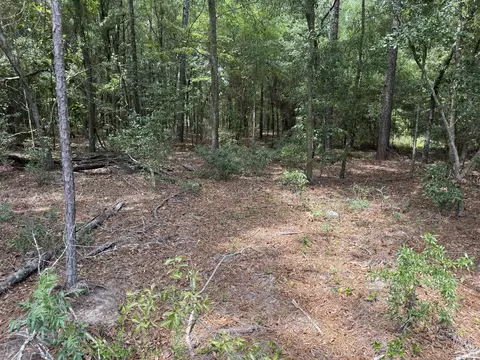 3 Rainbow Drive #QAF 3, Wagener, SC 29164