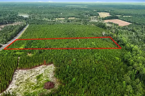 687 White Pond Rd, Williston, SC 29853