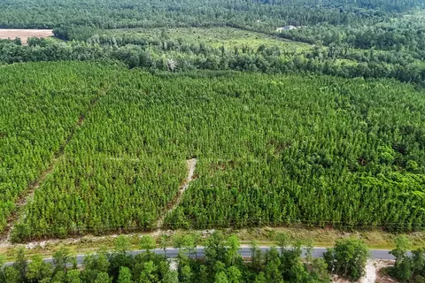 687 White Pond Rd, Williston, SC 29853 photo 4