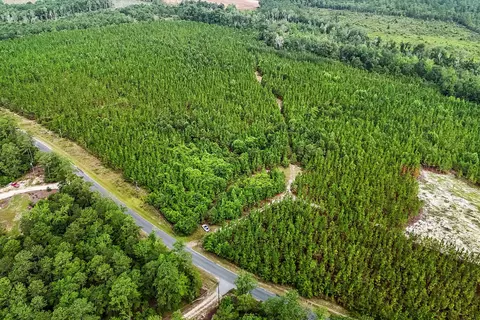 687 White Pond Rd, Williston, SC 29853 photo 3