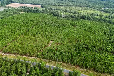687 White Pond Rd, Williston, SC 29853 photo 9