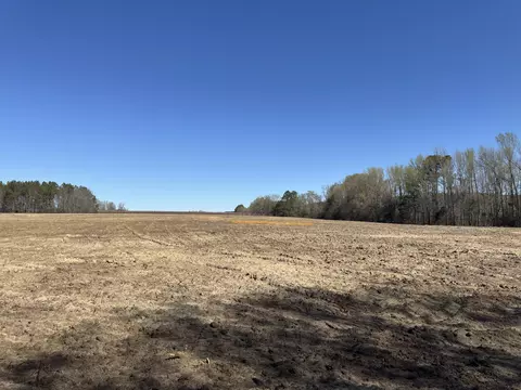 Tract 1 Buttercup Drive, Ward, SC 29166