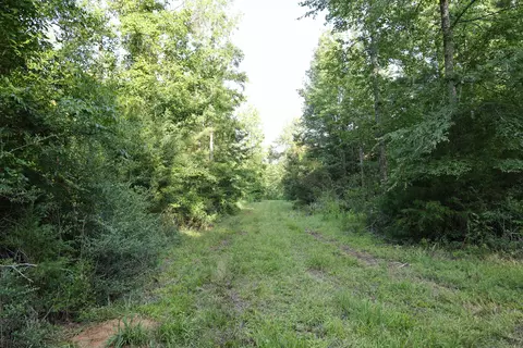 tbd Glover St, Edgefield, SC 29824 photo 3