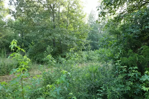 tbd Glover St, Edgefield, SC 29824 photo 4