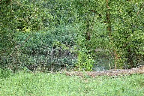 tbd Glover St, Edgefield, SC 29824 photo 6
