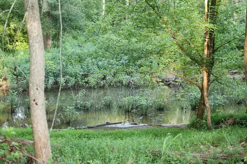 tbd Glover St, Edgefield, SC 29824 photo 7