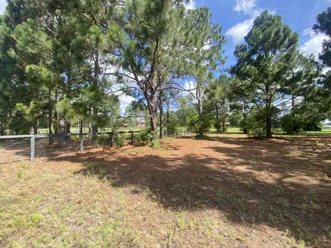 lot48 Spring Branch Rd, Windsor, SC 29856 photo 10