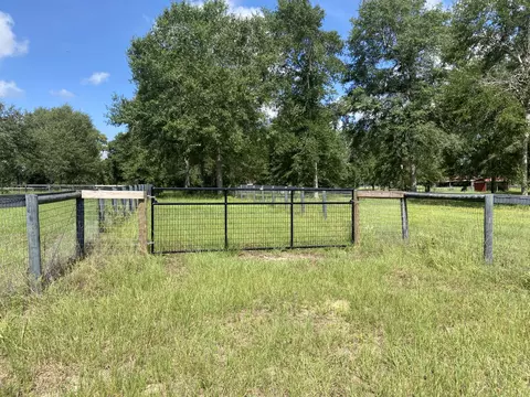lot48 Spring Branch Rd, Windsor, SC 29856 photo 17