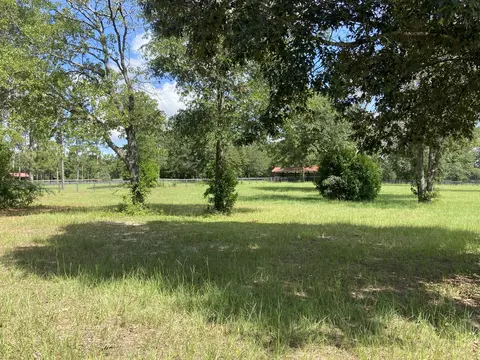 lot48 Spring Branch Rd, Windsor, SC 29856 photo 8