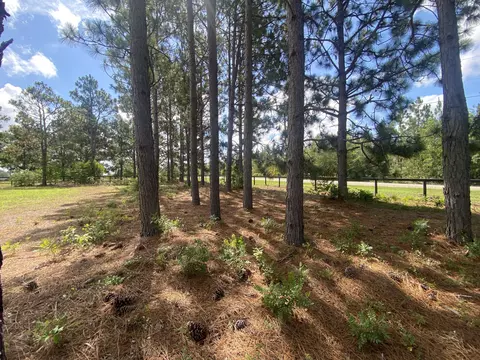 lot48 Spring Branch Rd, Windsor, SC 29856 photo 12