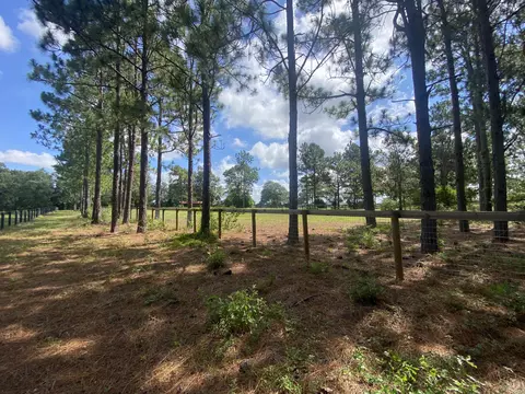 lot48 Spring Branch Rd, Windsor, SC 29856 photo 13