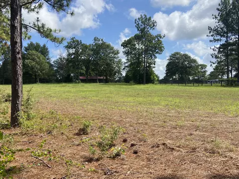 lot48 Spring Branch Rd, Windsor, SC 29856 photo 4
