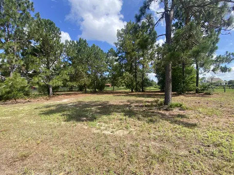 lot48 Spring Branch Rd, Windsor, SC 29856 photo 9