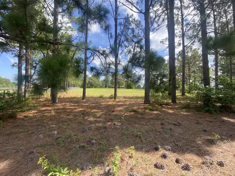 lot48 Spring Branch Rd, Windsor, SC 29856 photo 11