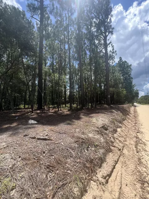 0 Cassie Road Rd, Batesburg-leesville, SC 29006