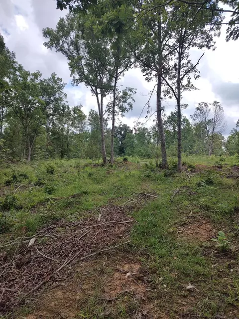 00576 Red Hill Rd, Edgefield, SC 29824