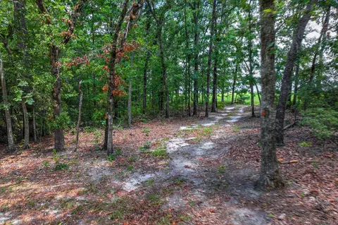 Exterior - 209 Fairwind Rd, Windsor, SC 29856 photo 31 of 31