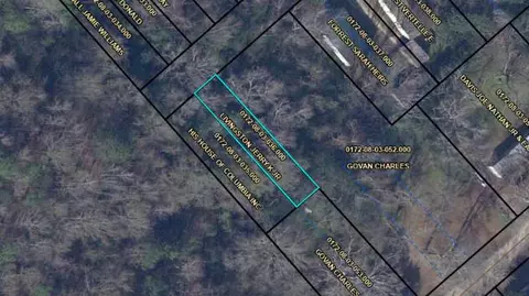 tbd Winslow St SE, Orangeburg, SC 29115